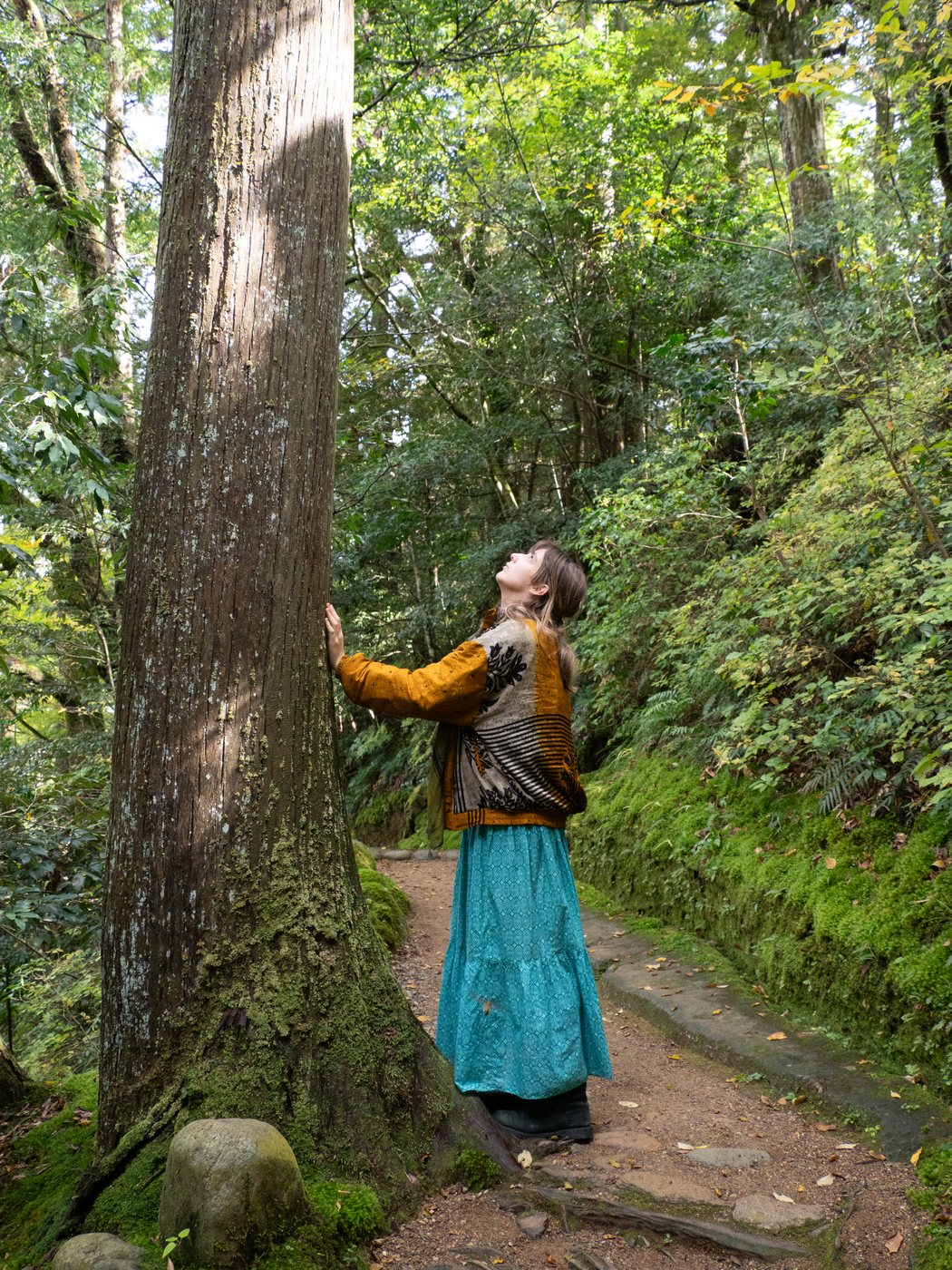 Leyla on a forest path with one hand on an old cedar, looking up into the tree
